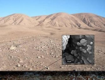 Illustration for article titled What Kinds of Life Forms Could Actually Live on Mars?